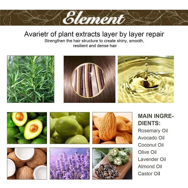Bloom & Bare Rosemary Hair Growth Oil – Scalp Nourishing Treatment